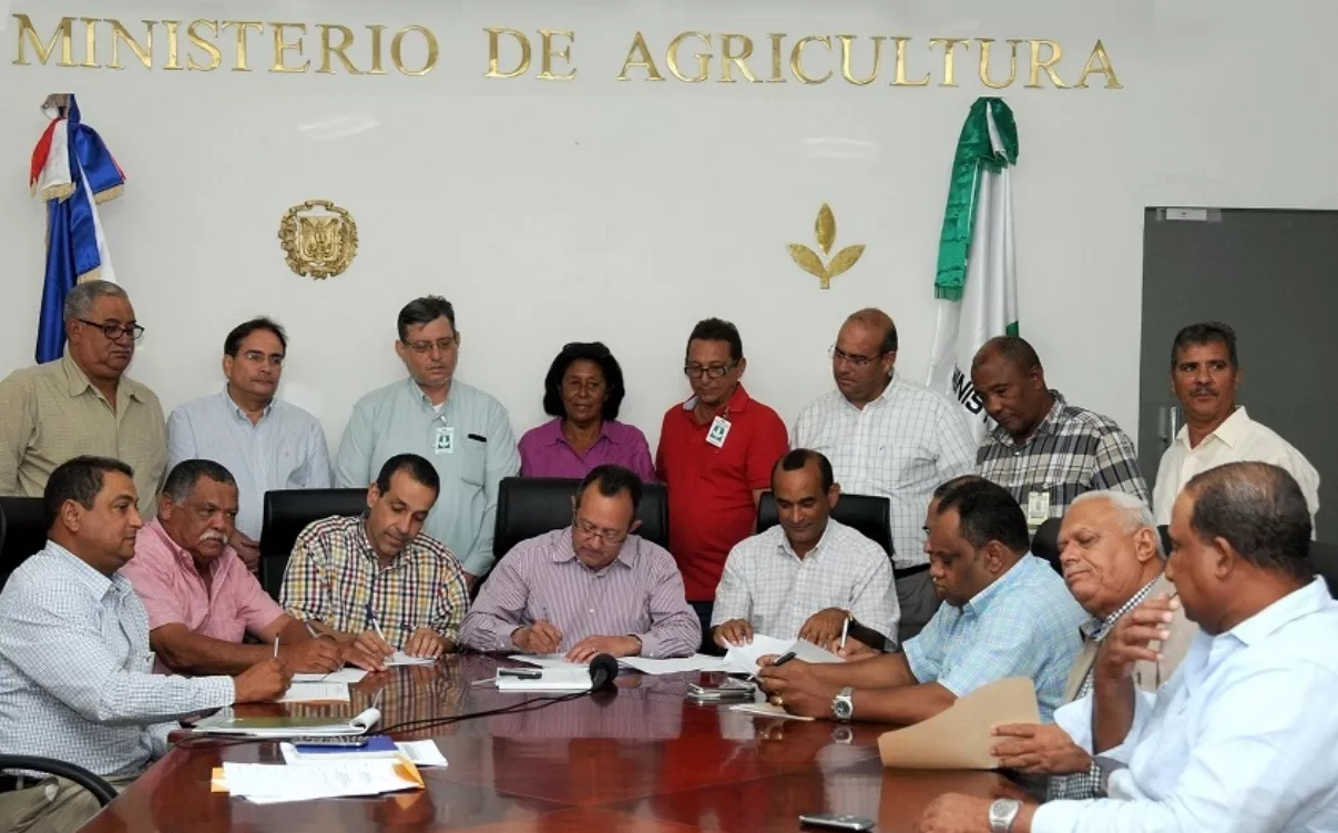 Cona establece el arroz será sembrado  dos veces al año