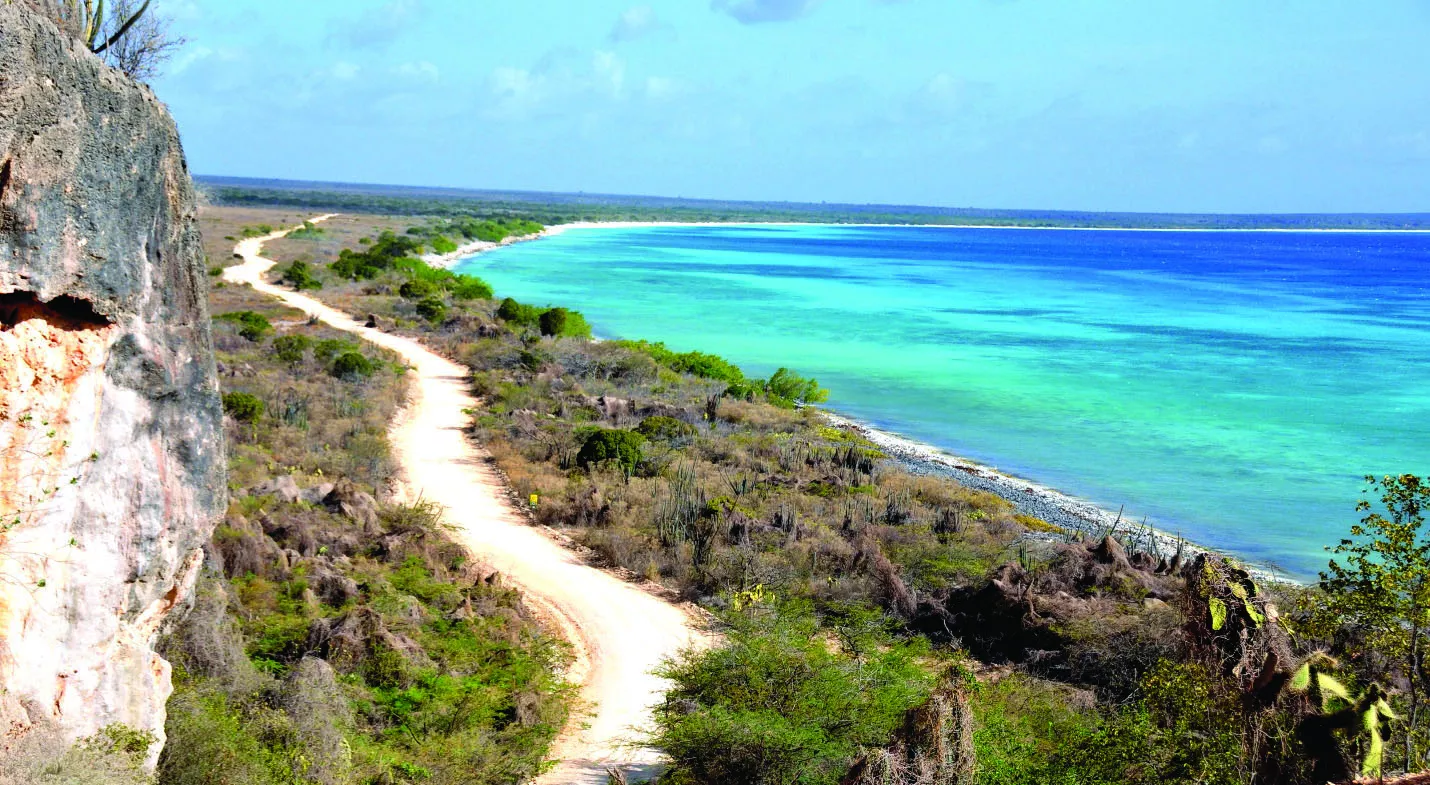 Bahía de  las Águilas,  la última maravilla del Sur profundo