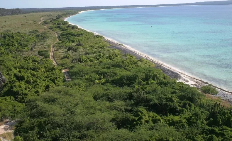 Procuraduría evalúa someter a personas por terrenos Bahía de las Águilas