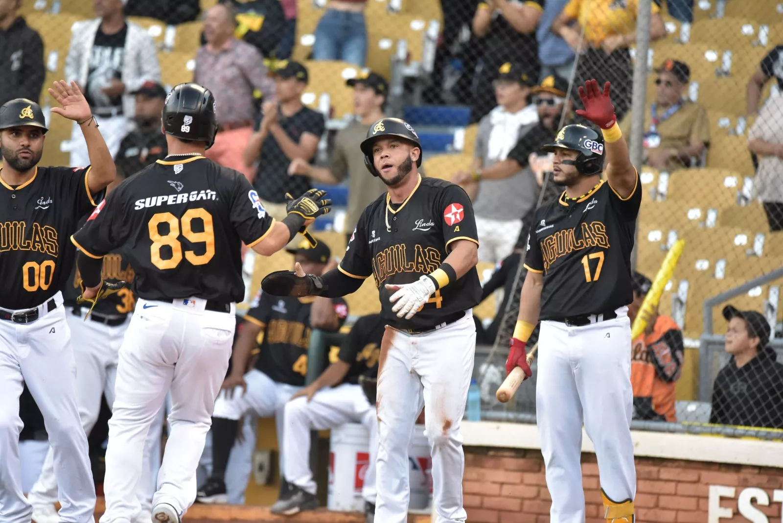 Águilas Cibaeñas derrotan los Tigres y avanzan al quinto lugar