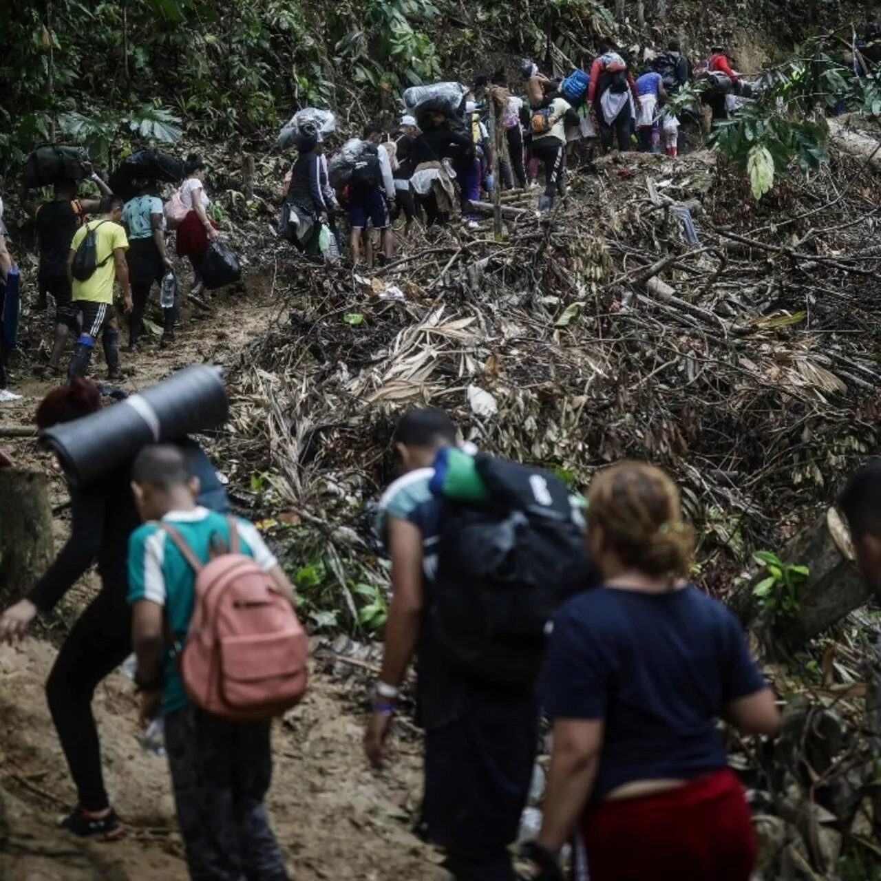 Colombia apuesta por la cooperación ante el drama migratorio de El Darién