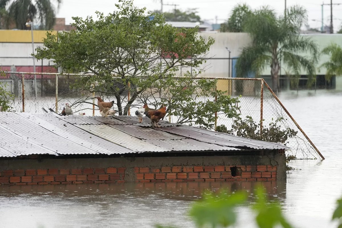 Un pueblo brasileño devastado por la inundación prepara su traslado lejos del río