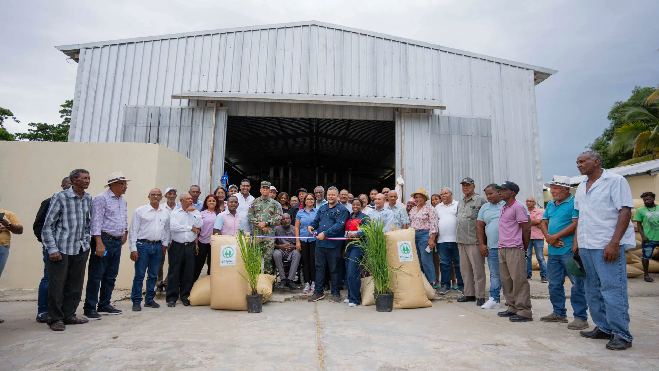 FEDA impulsa cultivo del arroz para garantizar seguridad alimentaria