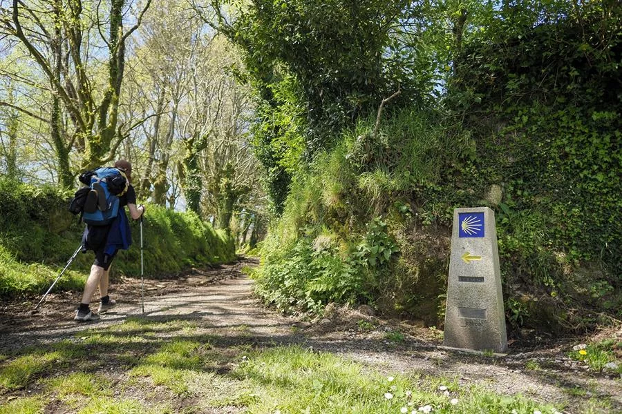 Consejos para caminar largas distancias