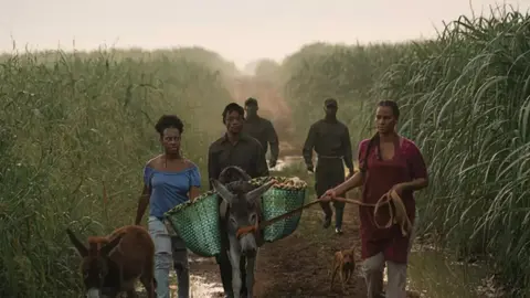 La cinta dominicana 'Sugar Island', premiada en Venecia por su mensaje laboral y ambiental