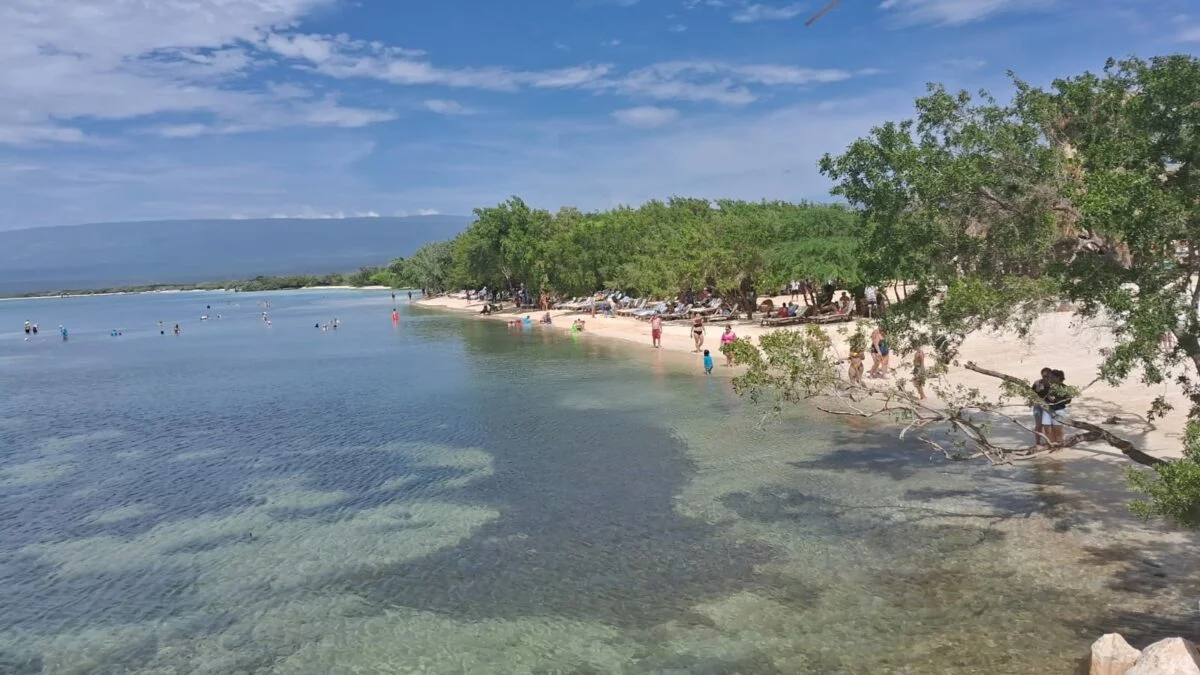 Turismo proyecta 200 mil cruceristas llegarán al sur el próximo año