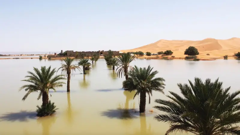 Las imágenes de las raras inundaciones en el desierto del Sahara que no ocurrían desde hace 50 años